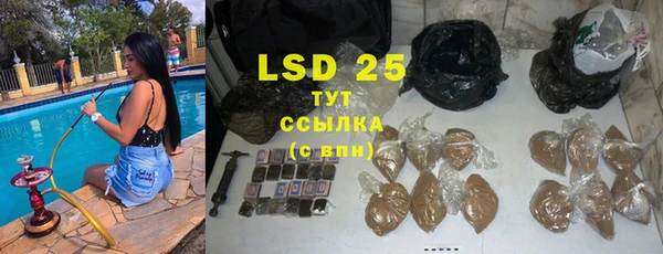 прущие грибы Белоозёрский