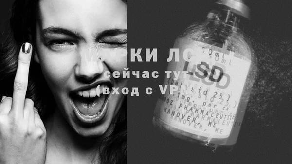 гашик Беломорск