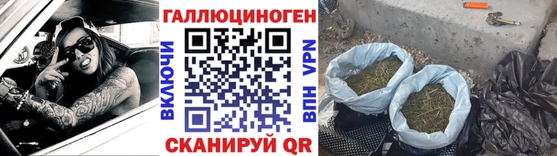 Псилоцибиновые грибы MAGIC MUSHROOMS  Бузулук 